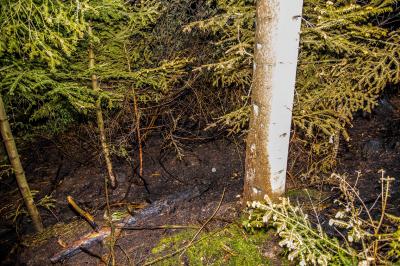 Murrhardt-Alm Siedlung: Waldbrand fordert die Feuerwehr